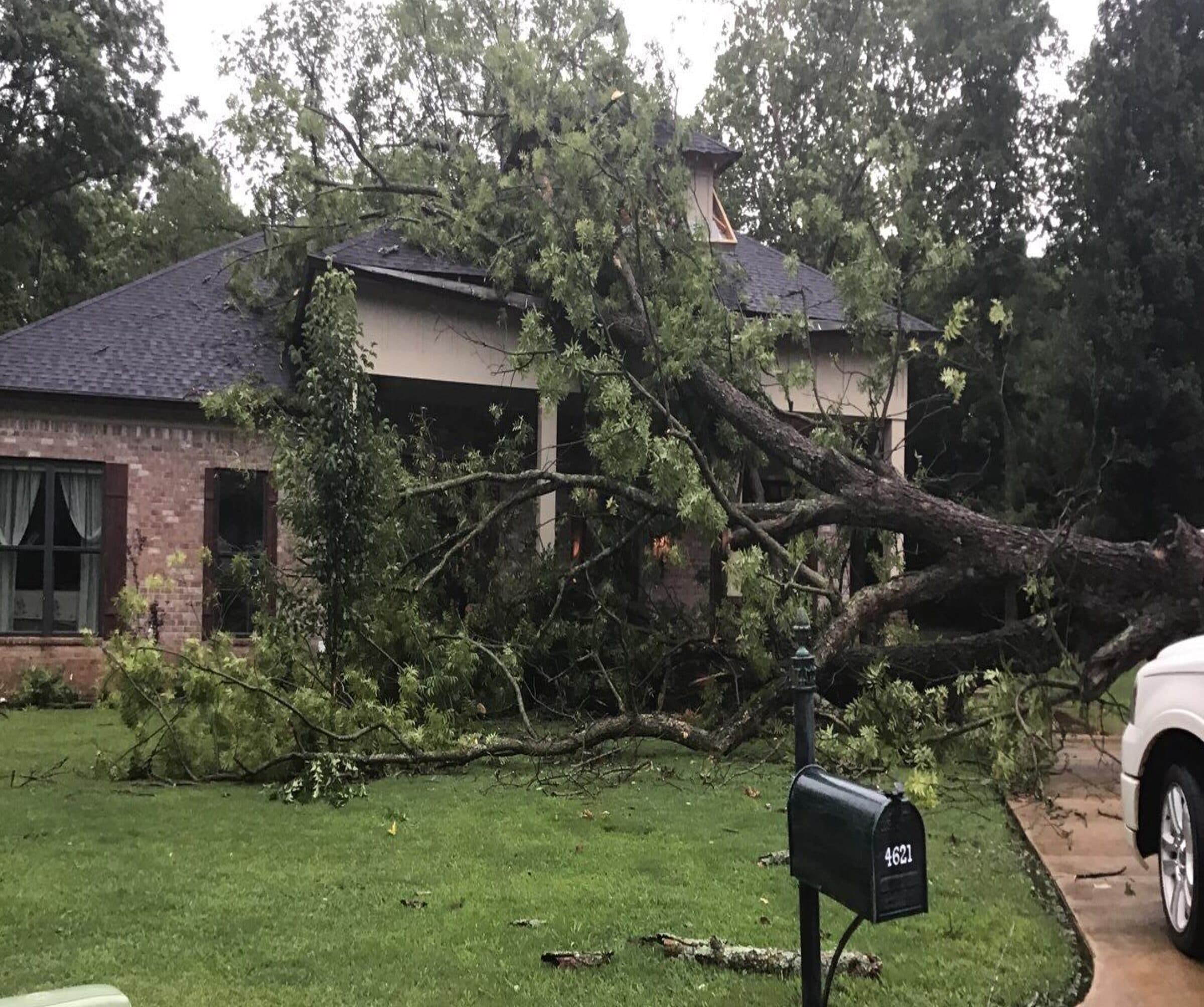 Large tree fallen across the roof of a brick home after a storm, limbs covering the front entry and yard