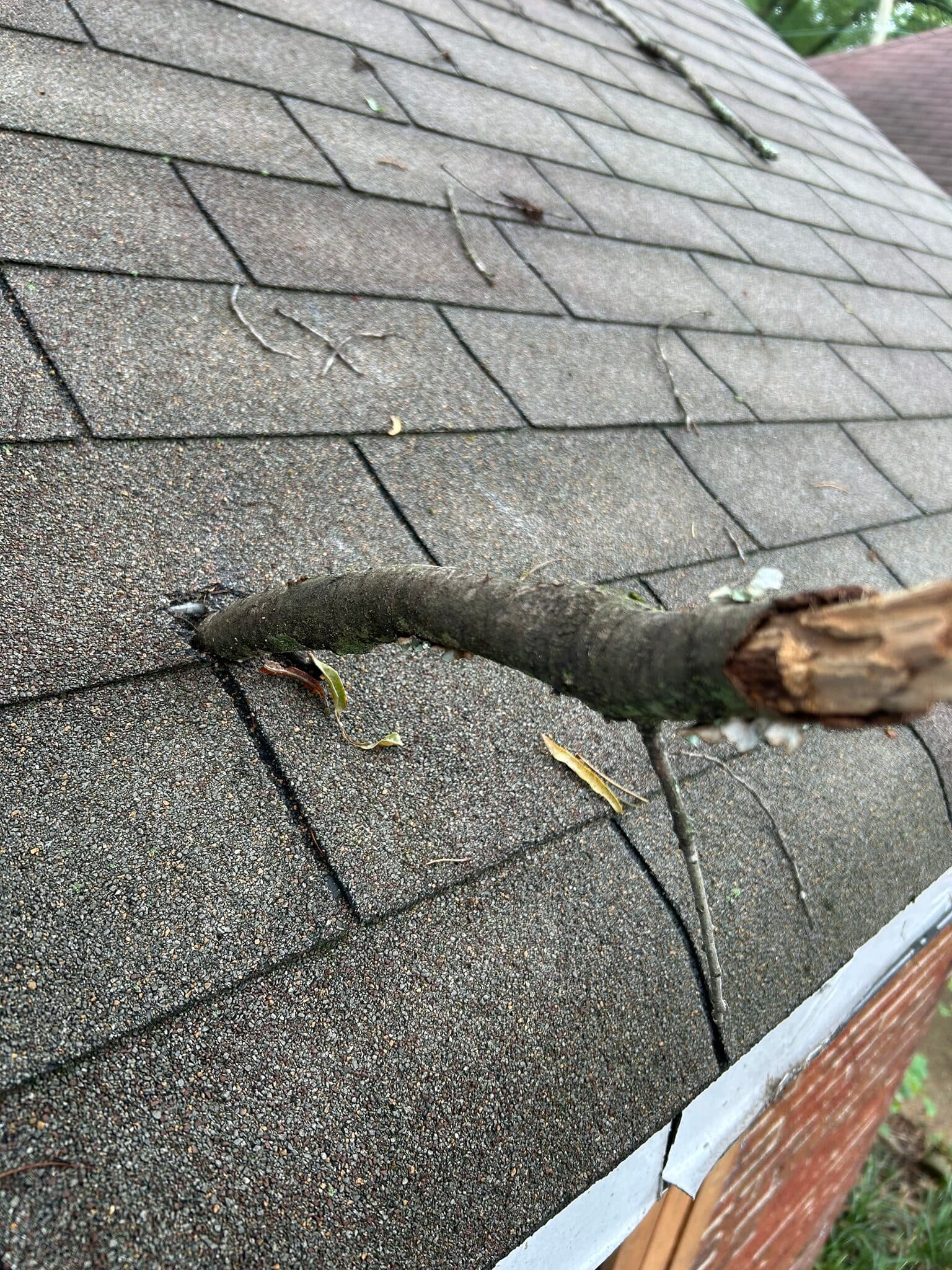 Broken tree limb resting across asphalt shingles after a storm