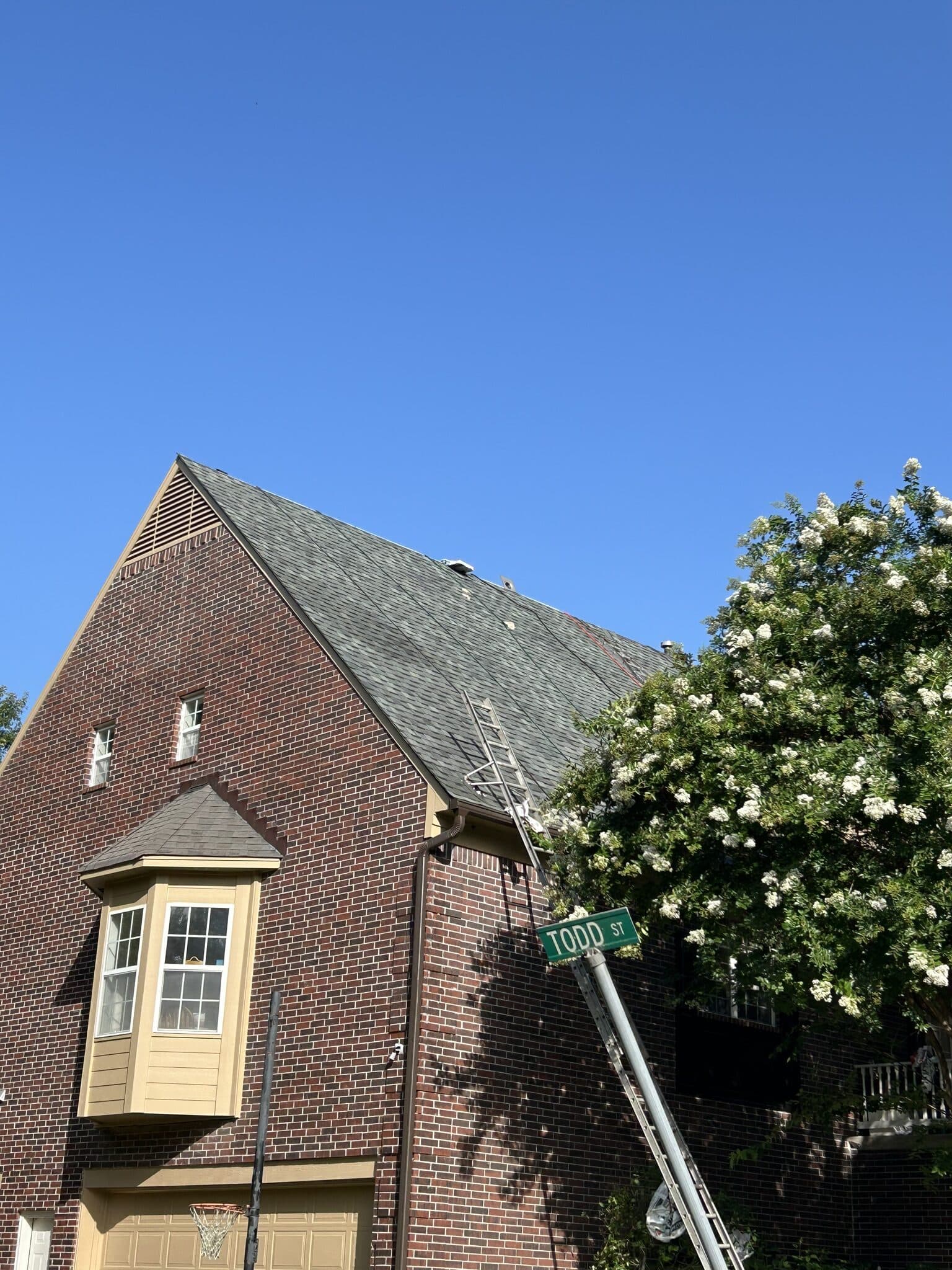 Tall brick Tudor style home with a bay window, ladder set for roof work beside a magnolia