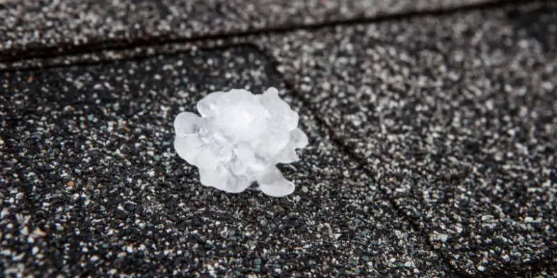 Hail on roof shingles.