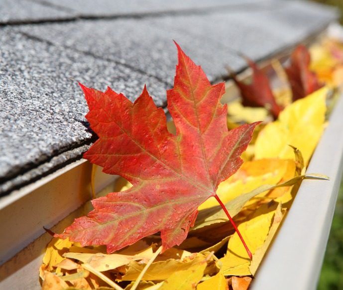 Fall Roof Inspection Checklist for Homeowners in Millington
