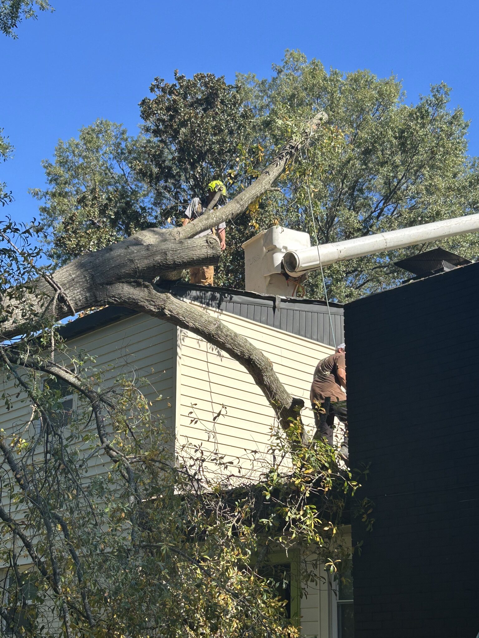 Crew removing a large fallen tree from a two-story home's roof with a debris chute